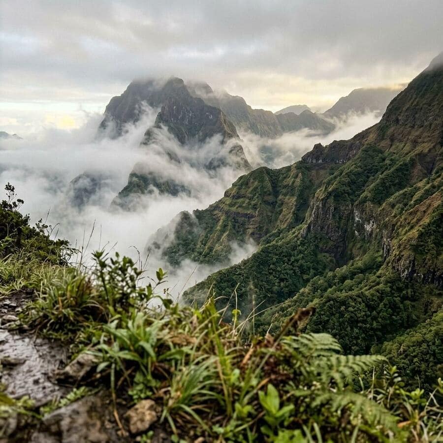 Cirque de Salazie, La Réunion : montagnes brumeuses et plantes sauvages, là où poussent nos épices.